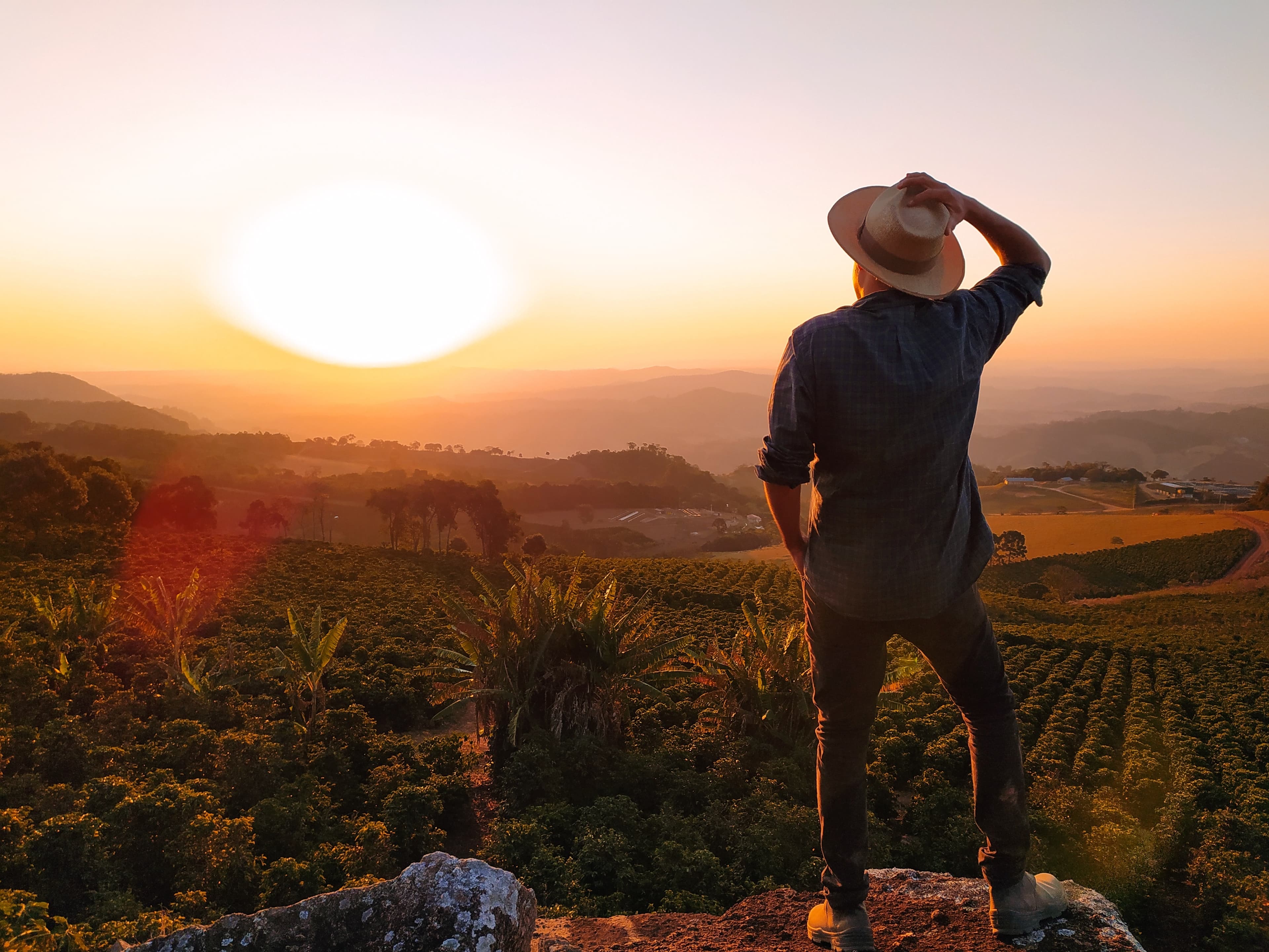 Regenerative Agriculture